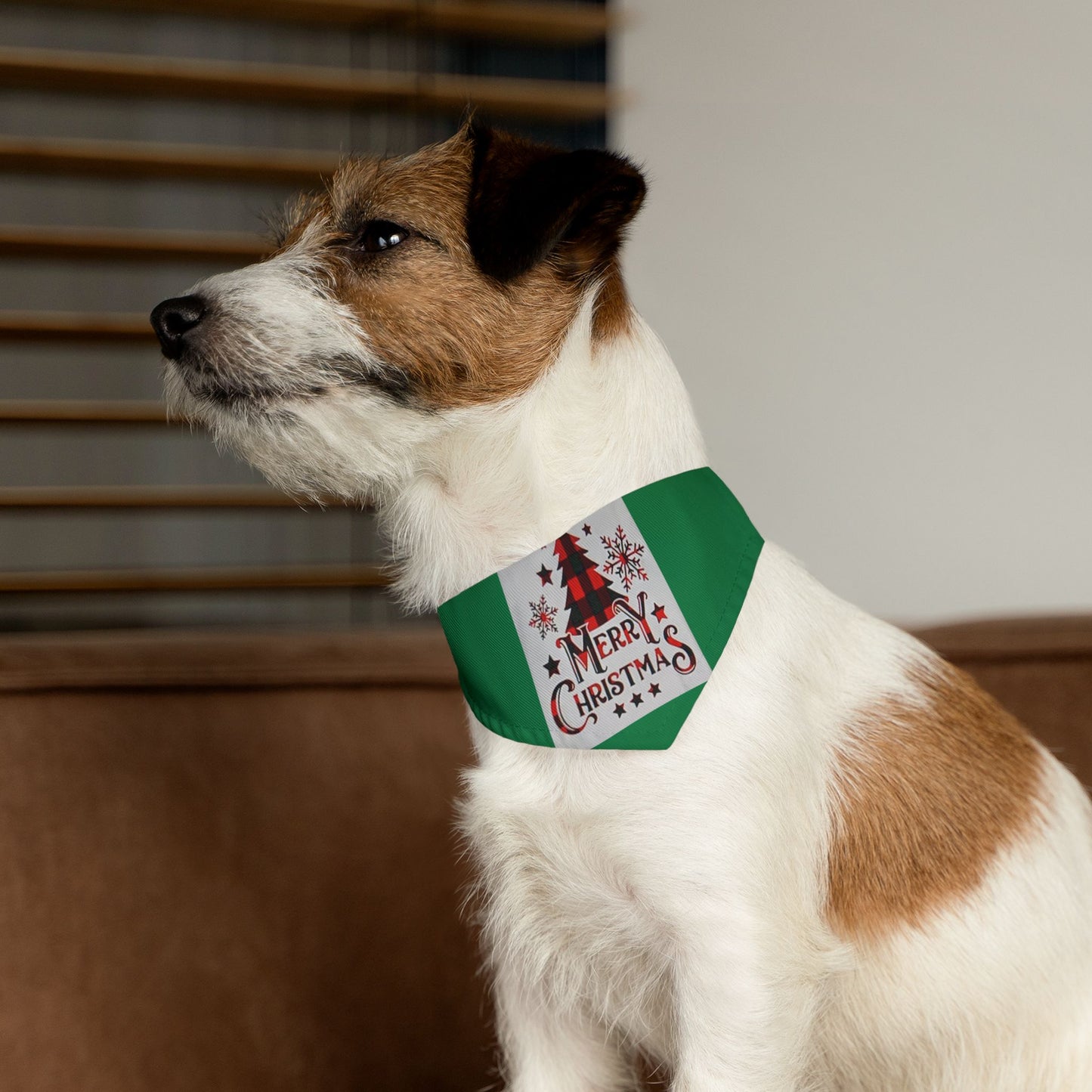 Pet Bandana Collar